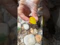 Unveiling the Secrets of the Ocean's Hidden Gems