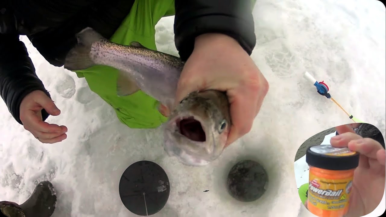 снасть на озерную форель. ловим на платнике. ловим на платнике. горная форель. рыбалка на форель.