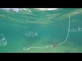Running Sinker Rig Running Sinker Rig