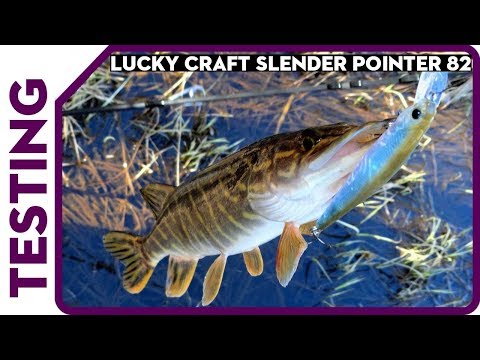 Slender Pointer 82 MR от Lucky Craft на микроречке