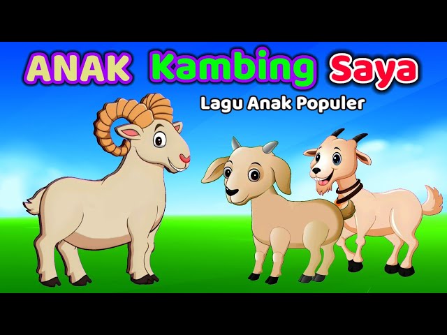 Lagu ANAK KAMBING SAYA - Lagu Anak Anak Indonesia Balita Populer Terlaris class=