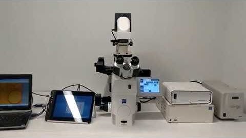 Zeiss Axio Observer Inverted Fluorescence Phase Contrast Motorized Microscope [BOSTONIND] - 14167