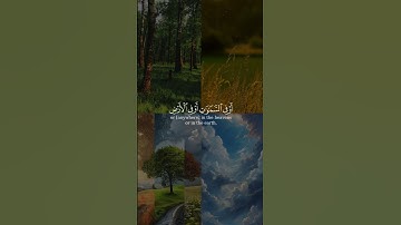 يا بني إنها إن تكُ مثقال حبة من خردل من سورة لقمان بصوت الشيخ عبدالله الموسى