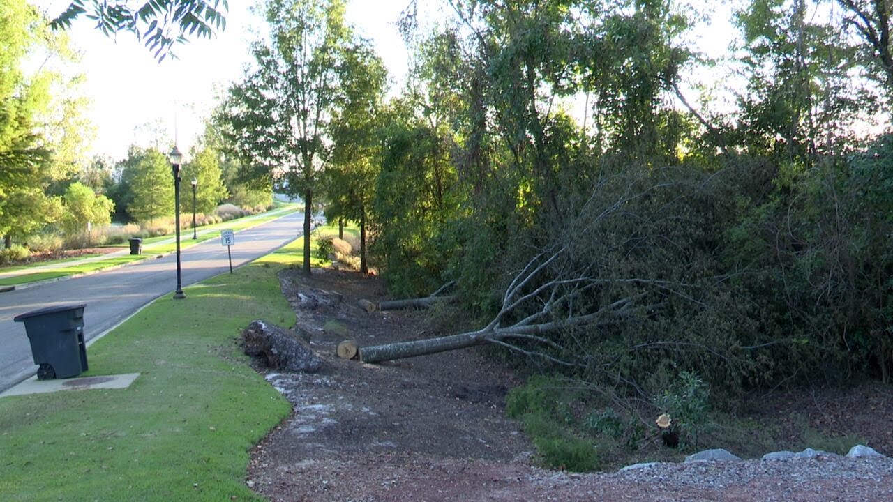 North Augusta aims to be done with Helene debris by January - YouTube