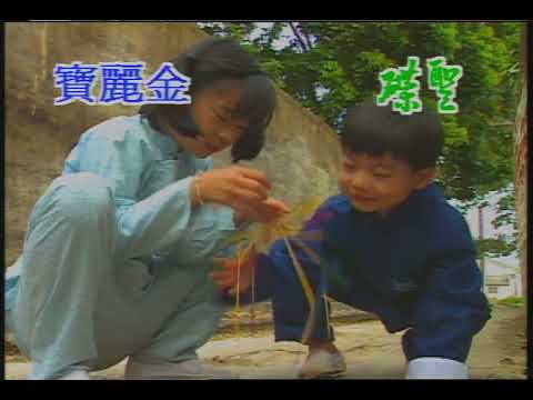 小小羊兒要回家 寶麗金伴奏