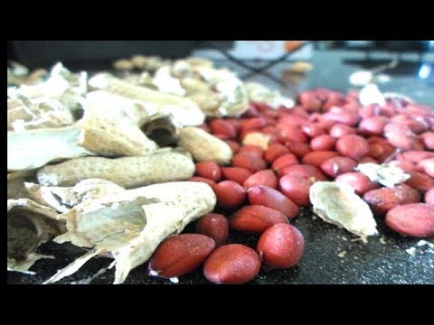 Video: Cómo Blanquear Cacahuetes