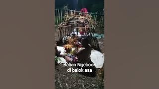 Belian ngebook. kakek Ujang channel