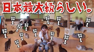 Japan's largest] Dog and cat theme park 