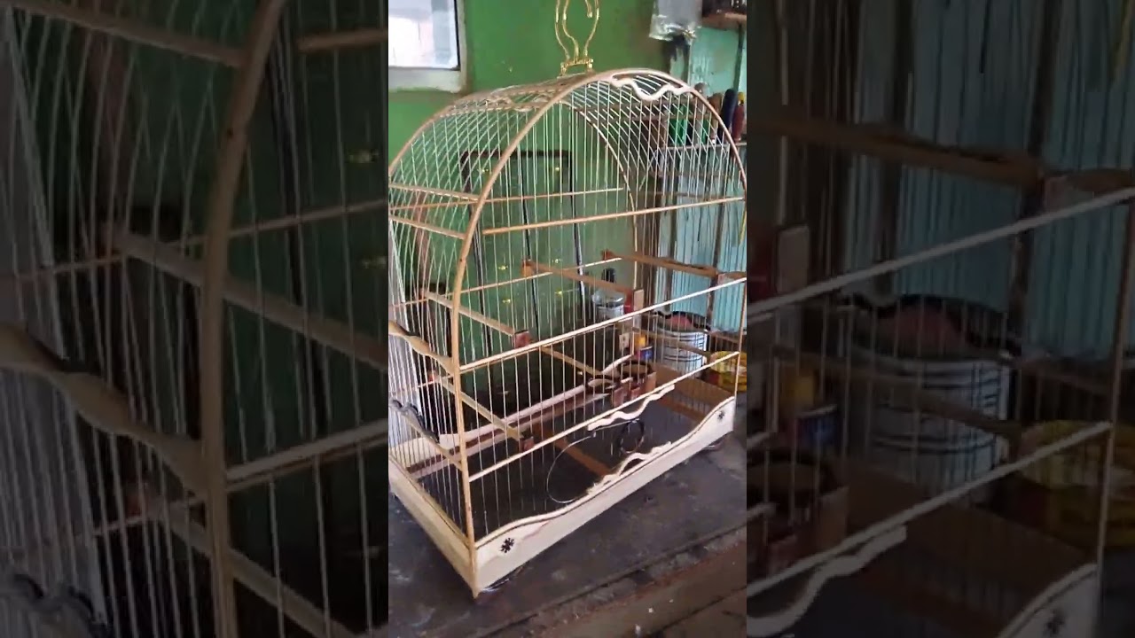 Explicando sobre durabilidade do verniz da gaiola...