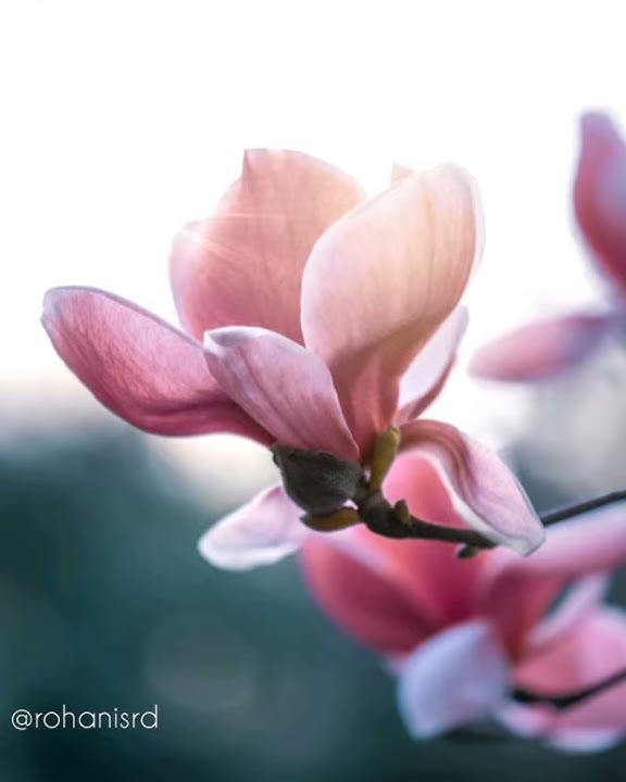 50 detik Cakra Khan Kekasih Bayangan