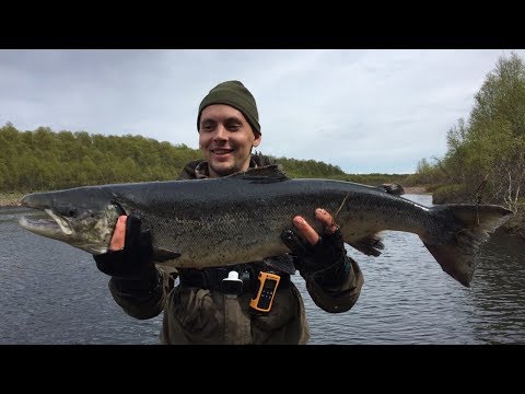 Video: En Underlig Hendelse På øya Veiviseren (Lovozero) - Alternativ Visning