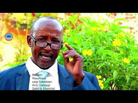 ABWAAN MAXAMUUD WARAABE GABAYGII QABIILKA IYO DHISHIISII 