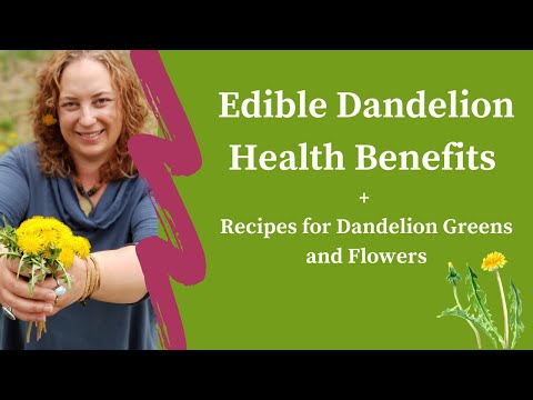 Video: Edible Flowers And Herbs: Dandelion Dishes
