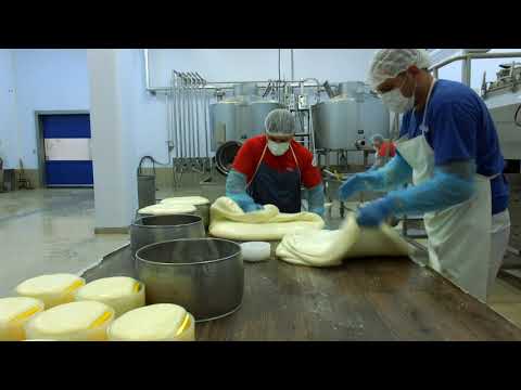 Kaşar Peynir Nasıl Üretilir?