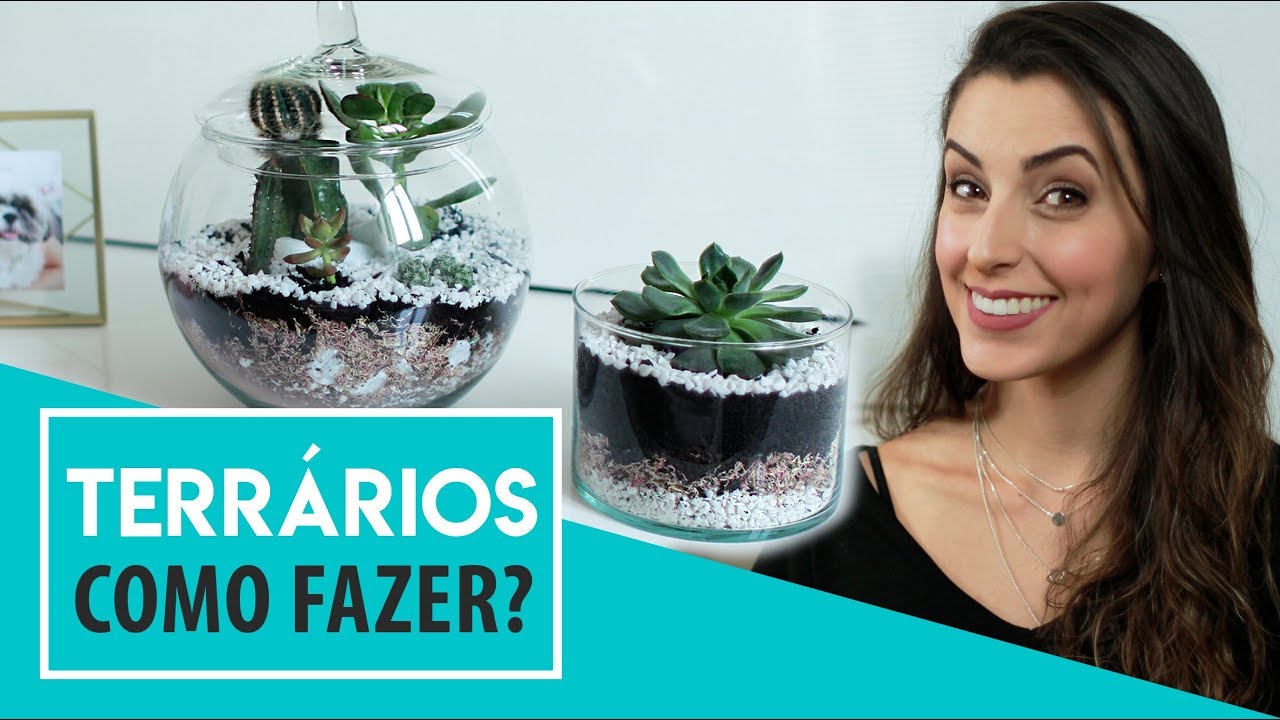 COMO FAZER TERRÁRIO FECHADO OU ABERTO -  Passo a Passo | DIY