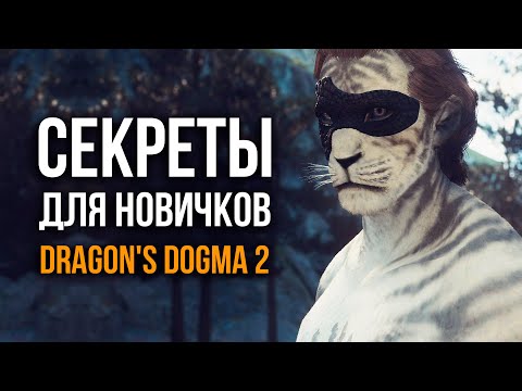 Видео: Dragon's Dogma 2 - Секреты И Интересное Для Новичков от Mr. Cat.