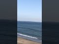 🏄&zwj;♂️i #海を抱きしめて #中村雅俊