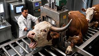 Inside a Mega Factory: How Raw Cow Hides Are Actually Processed!