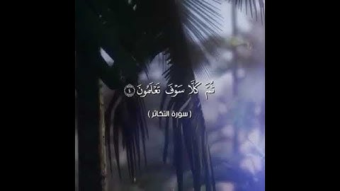 سورة التكاثر