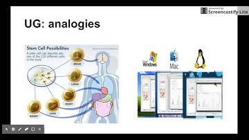 Set 1.2 (Part1/3 ) Universal Grammar