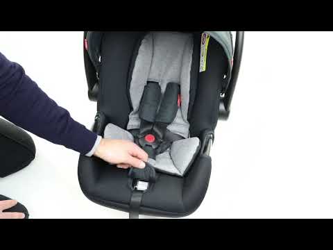 phil and teds alpha car seat