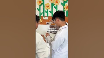 What happens at JSO Spring School? #ScienceOlympiads