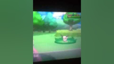 Pokemon x and y shiny eevee