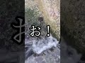 【穴釣り】嫁が今年の運勢を釣った魚で占った結果・・・！？