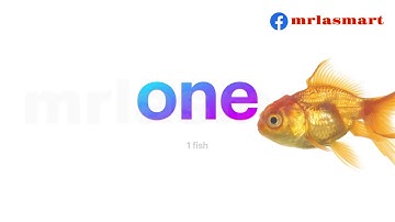 Count and Write | Number Names and Numerals | Merryland Academy Digital Classroom