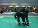 Ninjutsu Underhook, How to do ganseki otoshi in sparring, advanced - technique for  Akban wiki