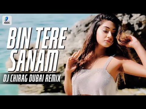 BIN TERE SANAM