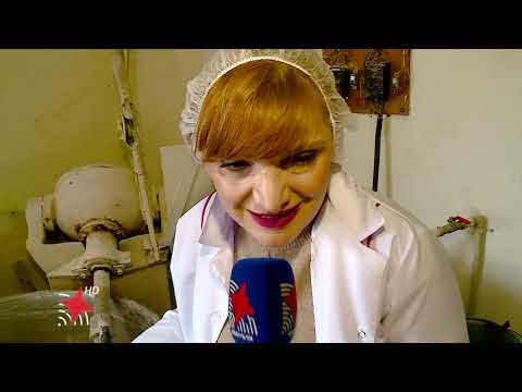 მარნეულის პურის საცხობში ყველა ზომის ტარაკნები და მღრღნელები ბინადრობენ