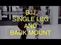 bjj single leg and back mount