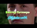 Клип на песню Виктор Петлюра - мужские слезы 2021
