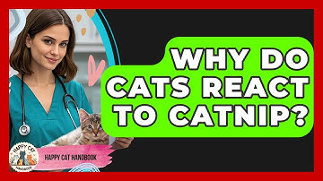 Why Do Cats React To Catnip? - Happy Cat Handbook