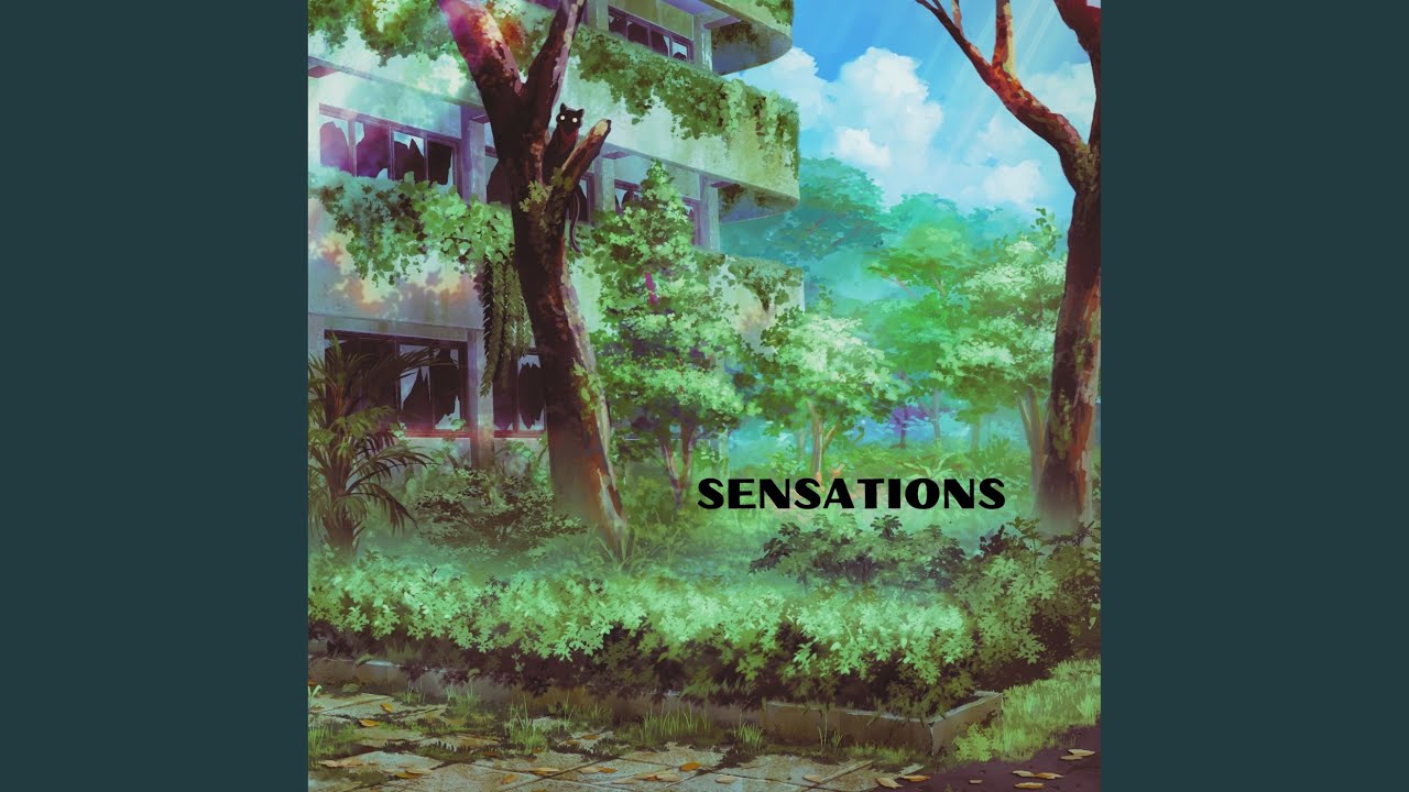 Watch Sensations on YouTube Watch Sensations on YouTube