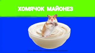 ХОМЯЧОК - МАЙОНЕЗ / HAMSTER - MAYONNAISE