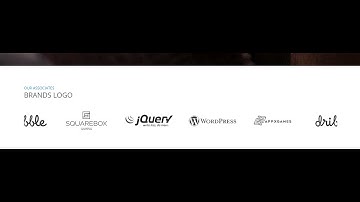 Free WordPress Theme Storevilla - How to Configure Brand Logo Section | WordPress Tutorial