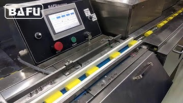 Bafu FWC350: High-Speed Flow-Pack Machine with In-Line Feeder