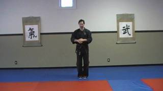 TAI Kenpo White Tiger Form