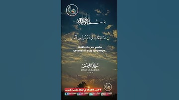 #القرآن_الكريم #تلاوة_صوت_جميل_عذب #دار_القرآن #اكسبلور #duet #dar_alkoran #راحة_نفسية #دويتو