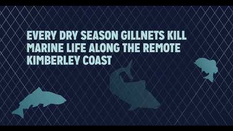 Ban Gill-netting in the North Kimberley