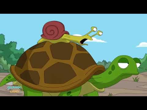 Family Guy -  Animals Turtle and snail