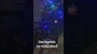 пожелание в Новый год!         С Новым Годом! 🎄🎄🎄 #животные #кошка #юмор #мими