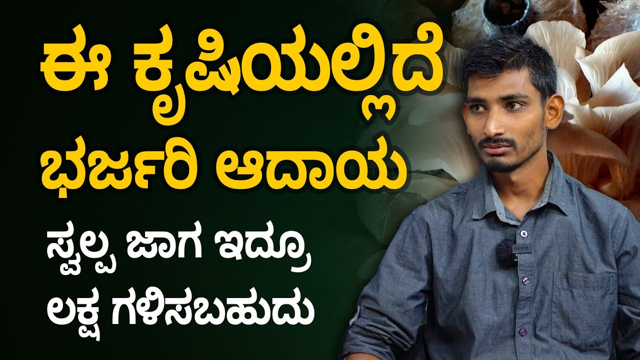 Mushroom Farming Details In Kannada How To Start Mushroom Farming mushroom-farming-details-in-kannada-how-to-start-mushroom-farming