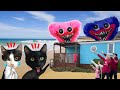 24 horas de vacaciones y aparece Huggy Wuggy en la vida real / Videos de gatos Luna y Estrella