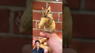 Sagawa1gou funny video 😂😂😂 | SAGAWA Best Shorts 2023 #shorts