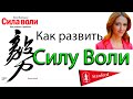 Как развить силу воли. Как развить и укрепитьсилу воли? &quot;Сила Воли&quot; Келли Макгонигал.