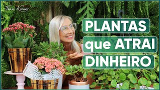 5 Plantas que ATRAEM Dinheiro pra sua Casa | Flávia Kremer - thptnganamst.edu.vn