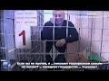 &quot;Путин - террорист номер 1 в Мире! Слава Украине! У меня всё!&quot; - Михаил Кригер, последнее слово